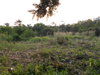 listing thumbnail image 24