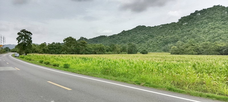 picture Prime Investment & Development Land for Sale in Kaeng Khoi, Saraburi - 9/10