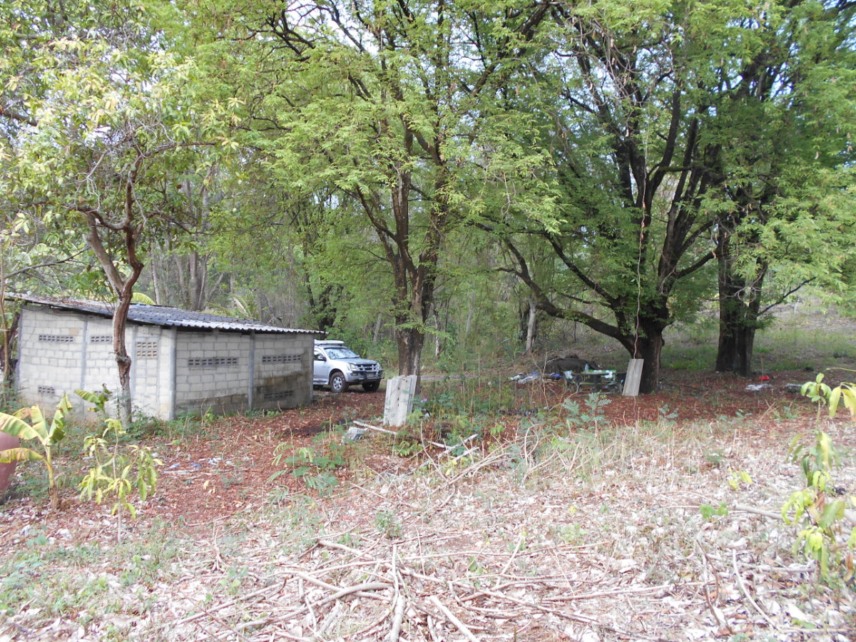 picture Land adjacent to a stream, Ban Pha Daeng, Na Yom Subdistrict, Mueang District, Phetchabun Province. - 9/29