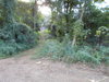 listing thumbnail image 21