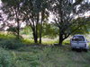 listing thumbnail image 22