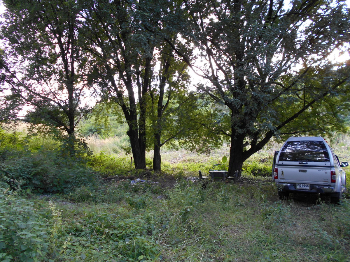 picture Land adjacent to a stream, Ban Pha Daeng, Na Yom Subdistrict, Mueang District, Phetchabun Province. - 23/29