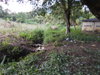listing thumbnail image 27