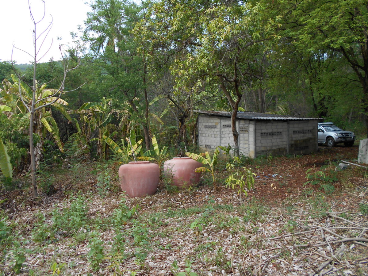 picture Land adjacent to a stream, Ban Pha Daeng, Na Yom Subdistrict, Mueang District, Phetchabun Province. - 8/29