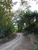 listing thumbnail image 20