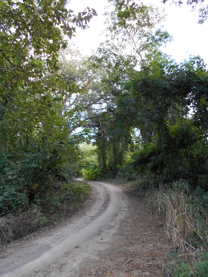 picture Land adjacent to a stream, Ban Pha Daeng, Na Yom Subdistrict, Mueang District, Phetchabun Province. - 21/29