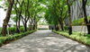 listing thumbnail image 39