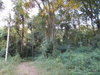 listing thumbnail image 23