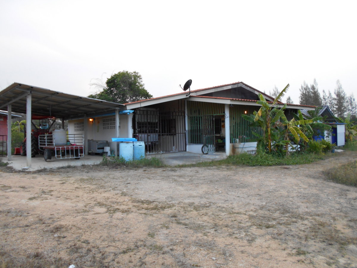 รูป ขายที่ดิน 10 ไร่ พร้อมบ้าน ติดลำห้วย ต.บ้านบึง อ.บ้านคา จ.ราชบุรี - รูปที่ 16/18