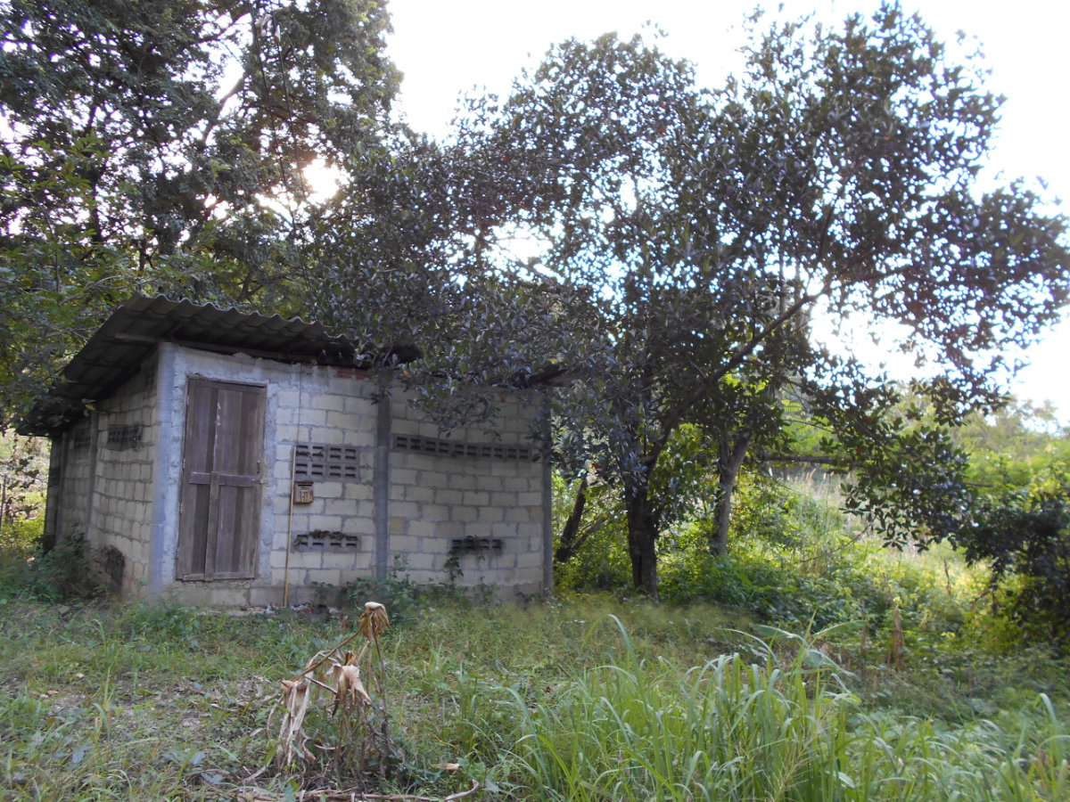 picture Land adjacent to a stream, Ban Pha Daeng, Na Yom Subdistrict, Mueang District, Phetchabun Province. - 17/29