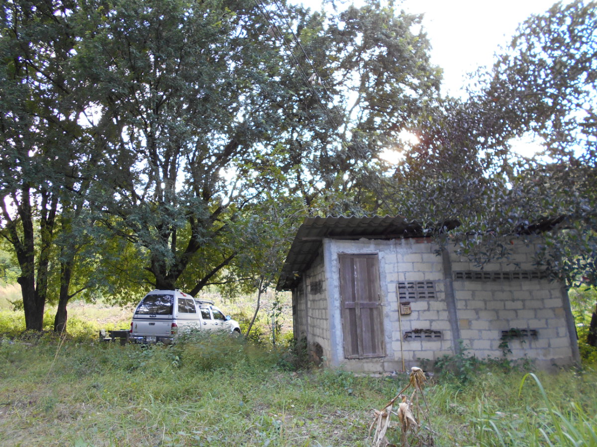 picture Land adjacent to a stream, Ban Pha Daeng, Na Yom Subdistrict, Mueang District, Phetchabun Province. - 16/29