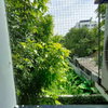 listing thumbnail image 7