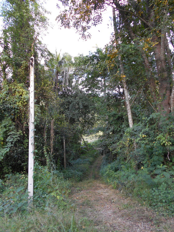 picture Land adjacent to a stream, Ban Pha Daeng, Na Yom Subdistrict, Mueang District, Phetchabun Province. - 18/29