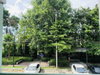 listing thumbnail image 7