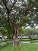listing thumbnail image 45