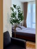 listing thumbnail image 11