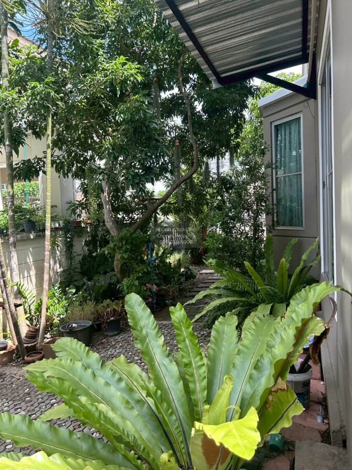 รูป ขายบ้าน บ้านพฤกษ์ลดา บางนา บางบ่อ บางบ่อ สมุทรปราการ CX-175493 ✅ ทักไลน์ @connexproperty ตอบทันที ทีมงานมืออาชีพ ✅ - รูปที่ 3/7