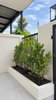 listing thumbnail image 6