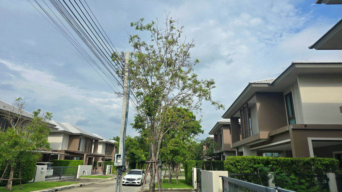 รูป ขาย บ้านหรู บุราสิริ กรุงเทพกรีฑา (บ้านใหม่ไม่เคยเข้าอยู่) - รูปที่ 24/49