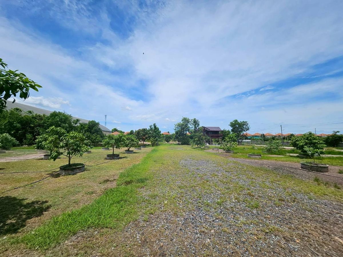 รูป ขาย ที่ดิน รังสิต คลอง 2 ซอยบงกต 33 คลองหลวง ถมแล้ว แปลงสวย ขนาด 6 ไร่ ราคา 39,000,000 - รูปที่ 15/16