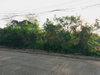 listing thumbnail image 11
