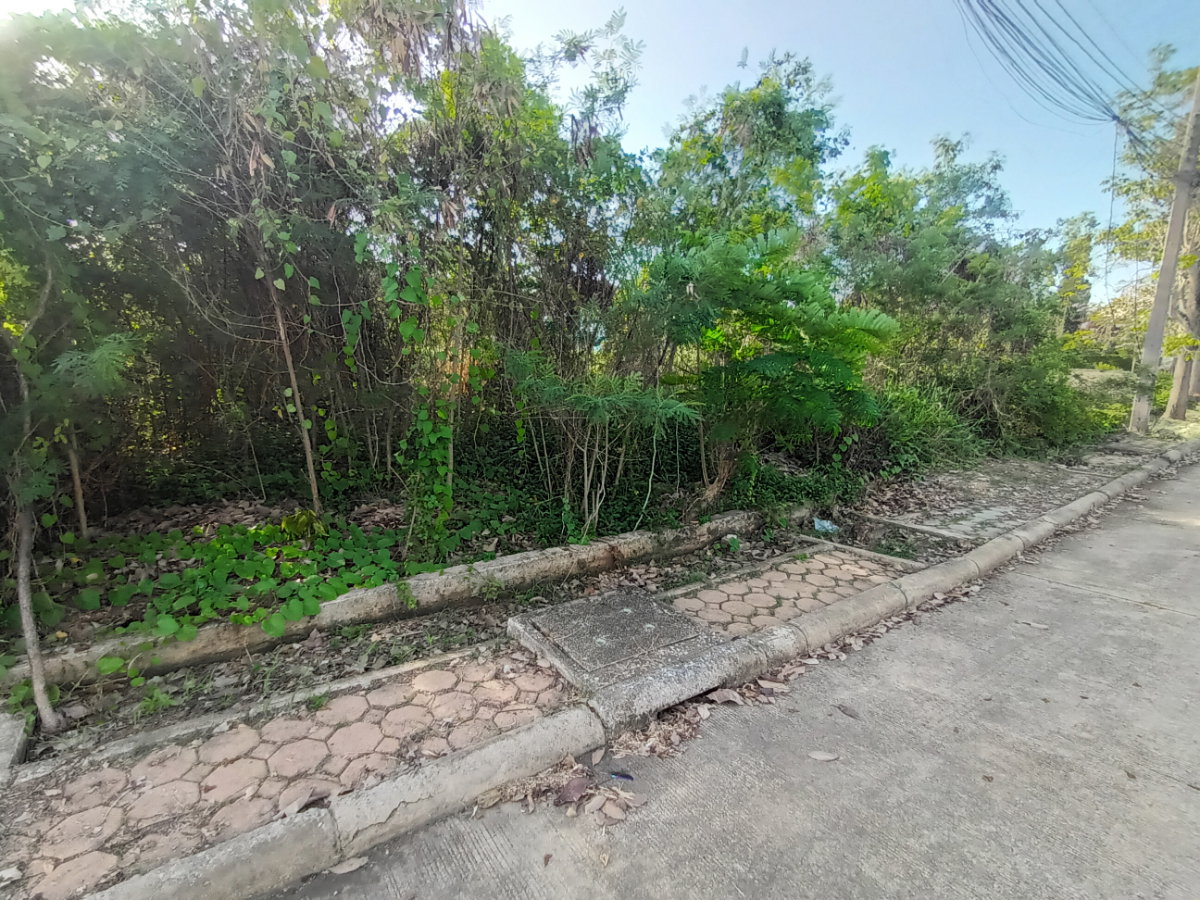 รูป ขาย ที่ดินเปล่า หมู่บ้านกฤษดานคร 27 สามพราน เนื้อที่ 100 ตร.ว. ใกล้มหาวิทยาลัยมหิดล ศาลายา ราคา 2.19 ล้านบาท - รูปที่ 5/12