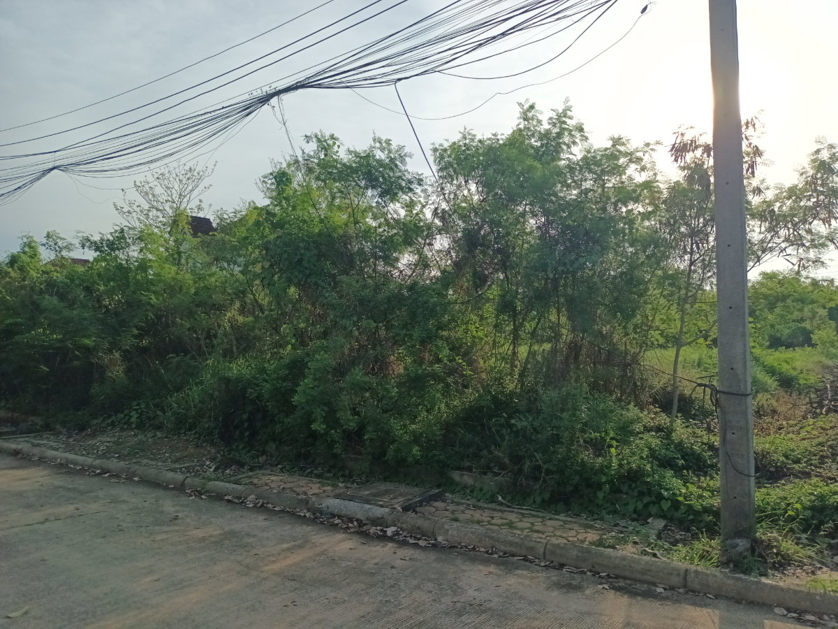 รูป ขาย ที่ดินเปล่า หมู่บ้านกฤษดานคร 27 สามพราน เนื้อที่ 100 ตร.ว. ใกล้มหาวิทยาลัยมหิดล ศาลายา ราคา 2.19 ล้านบาท - รูปที่ 1/12