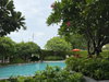 listing thumbnail image 26