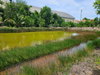 listing thumbnail image 13