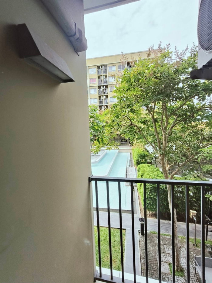 picture Plum Alive 2 Condo for Rent – Near Bangkok University Rangsit - 3/12