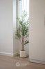 listing thumbnail image 27