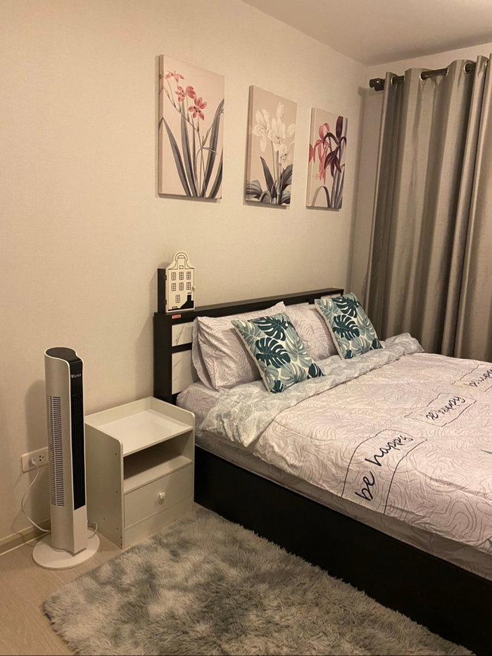 picture Condo for rent (Plam Condo Ram 60 Interchange) - 8/14