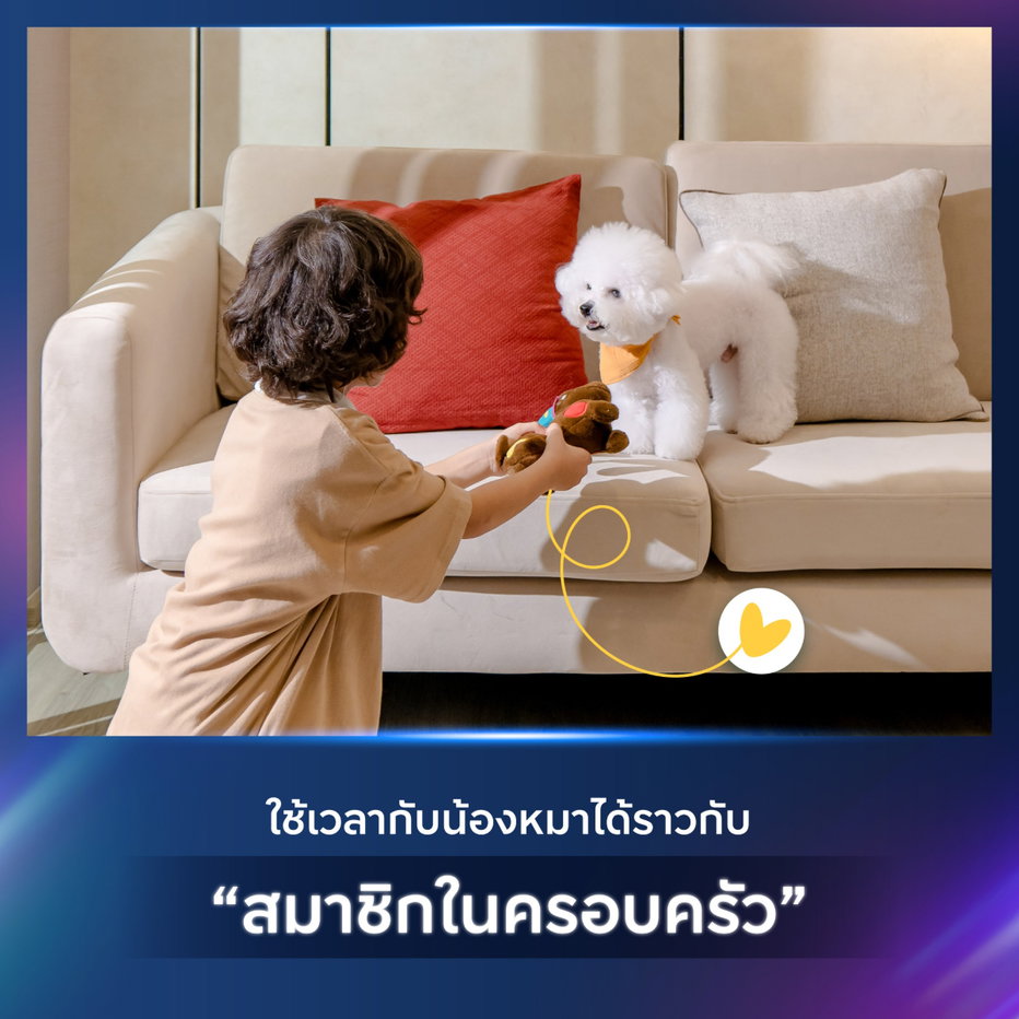 รูป ✅✅ปล่อยเช่า คอนโดเลี้ยงสัตว์ได้ ออริจิ้น ปลั๊ก แอนด์ เพลย์ สิรินธร สเตชั่น  - รูปที่ 4/20