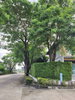 listing thumbnail image 28
