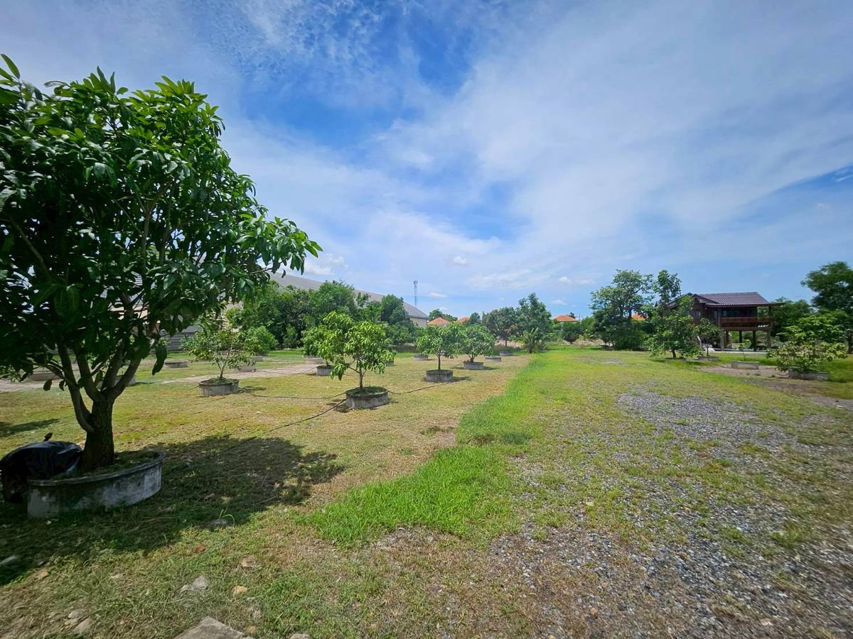รูป ขาย ที่ดิน รังสิต คลอง 2 ซอยบงกต 33 คลองหลวง ถมแล้ว แปลงสวย ขนาด 6 ไร่ ราคา 39,000,000 - รูปที่ 3/16