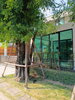 listing thumbnail image 1