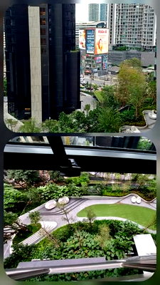Condos for rent : AA691176 | 1Bed | 1Bath | 26sqm | THB 16,500/mo | Fl.11 — Life Asoke Rama 9 Asoke Rama 9