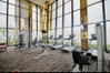 listing thumbnail image 17