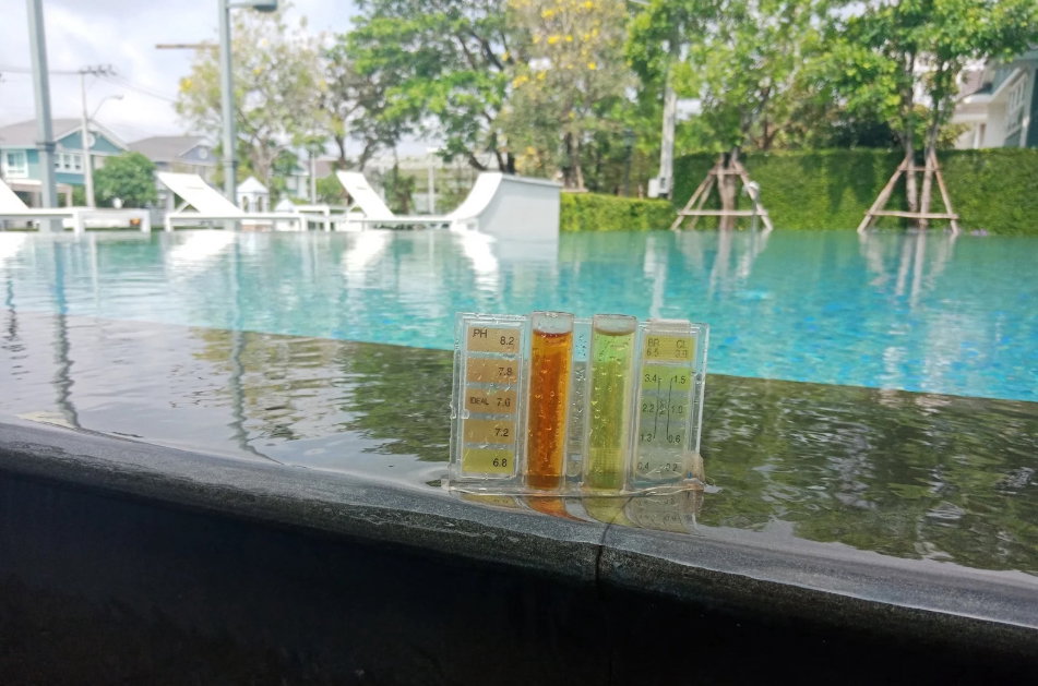 รูป ให้เช่า: บ้านชัยพฤกษ์ บางนา กม.7 - 51 ตร.ว. ใกล้เมกะบางนาเพียง 5 นาที เฟอร์นิเจอร์ครบ พร้อมเข้าอยู่ - รูปที่ 15/16