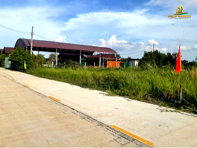 ที่ดิน หนองเสือ ปทุมธานี : ขายที่ดินคลอง 11 ซอยมิตรแท้ หนองเสือ ปทุมฯ ที่สวยราคาดี เดินทางสะดวก!!