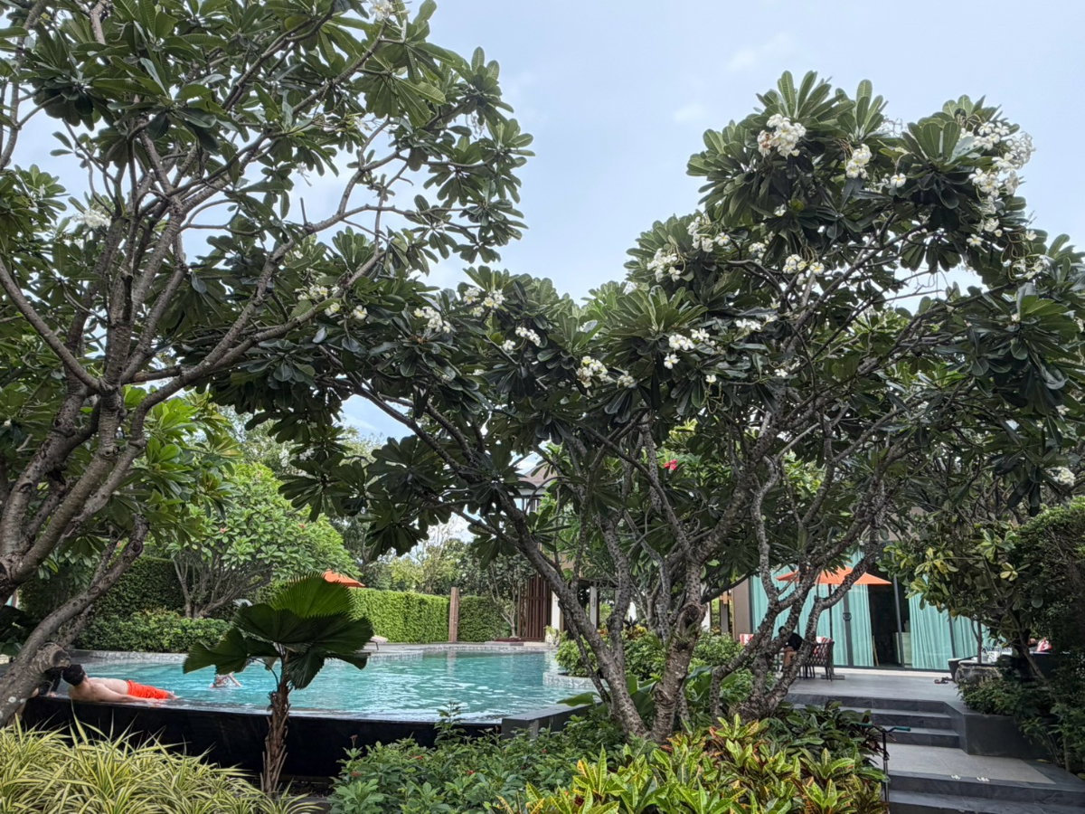 รูป ขาย บ้านหรู บุราสิริ กรุงเทพกรีฑา (บ้านใหม่ไม่เคยเข้าอยู่) - รูปที่ 30/49