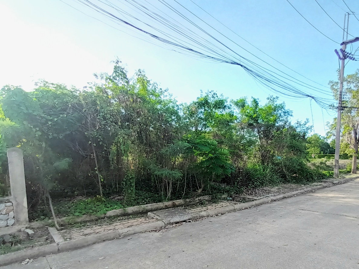 รูป ขาย ที่ดินเปล่า หมู่บ้านกฤษดานคร 27 สามพราน เนื้อที่ 100 ตร.ว. ใกล้มหาวิทยาลัยมหิดล ศาลายา ราคา 2.19 ล้านบาท - รูปที่ 11/12