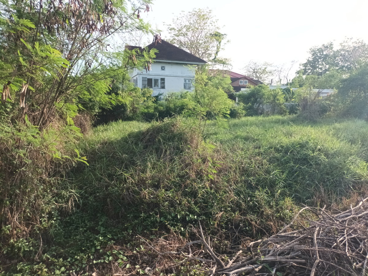 รูป ขาย ที่ดินเปล่า หมู่บ้านกฤษดานคร 27 สามพราน เนื้อที่ 100 ตร.ว. ใกล้มหาวิทยาลัยมหิดล ศาลายา ราคา 2.19 ล้านบาท - รูปที่ 4/12