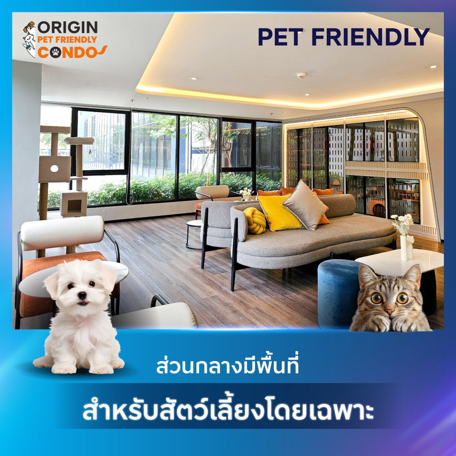 รูป ✅✅ปล่อยเช่า คอนโดเลี้ยงสัตว์ได้ ออริจิ้น ปลั๊ก แอนด์ เพลย์ สิรินธร สเตชั่น  - รูปที่ 10/20