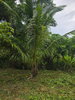 listing thumbnail image 12