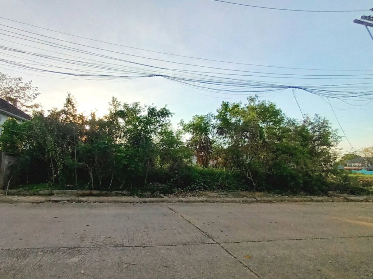 รูป ขาย ที่ดินเปล่า หมู่บ้านกฤษดานคร 27 สามพราน เนื้อที่ 100 ตร.ว. ใกล้มหาวิทยาลัยมหิดล ศาลายา ราคา 2.19 ล้านบาท - รูปที่ 9/12