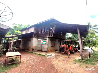 Houses for sale Udon Thani : HOME 134 Sq.w. Phen Udon Thani for 247,000