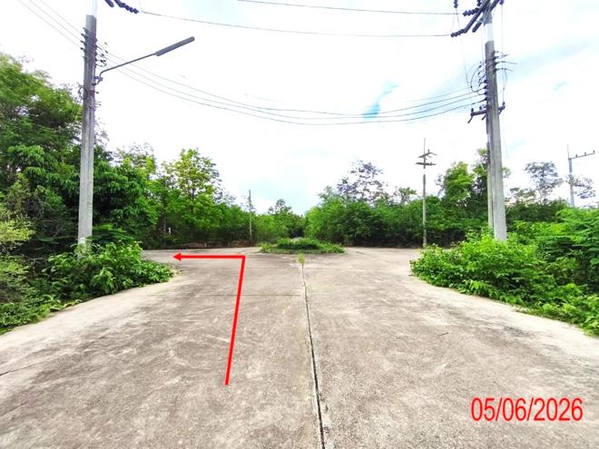รูป ที่ดินว่างเปล่า 903 ตร.วา บ้านสวนเชิงดอยรีสอร์ท เมืองลำพูน ลำพูน 1.6M - รูปที่ 8/21