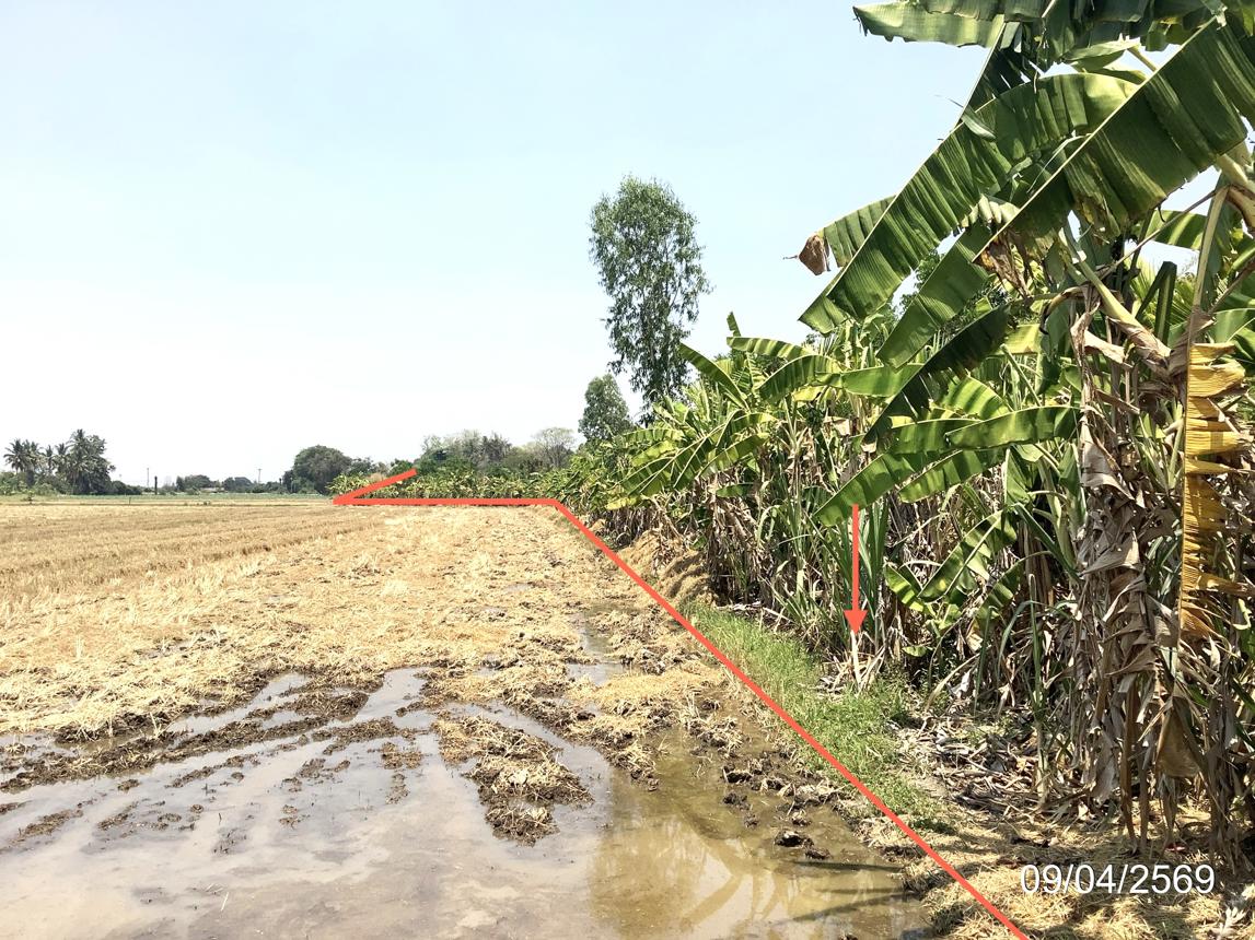 รูป ที่ดินว่างเปล่า 4246 ตร.วา คลองขลุง กำแพงเพชร 4.4M - รูปที่ 16/25