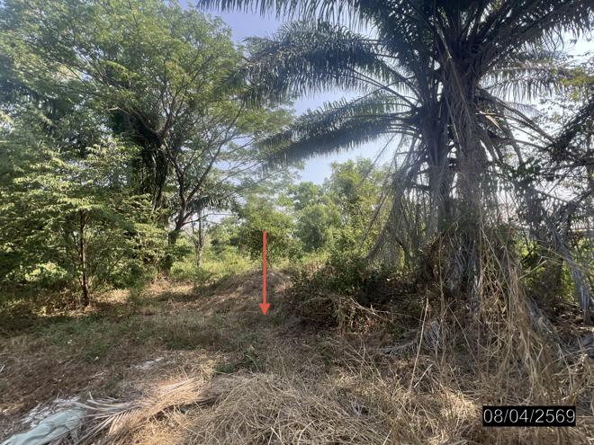 รูป บ้านเดี่ยว 460.9 ตร.วา เมืองอุบลราชธานี อุบลราชธานี 1.7M - รูปที่ 13/35